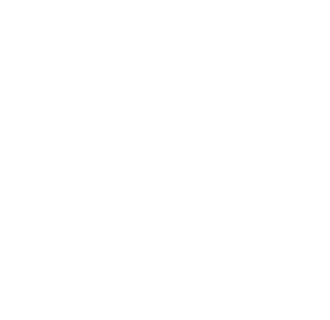 person-icon